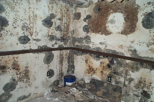 mold (16)