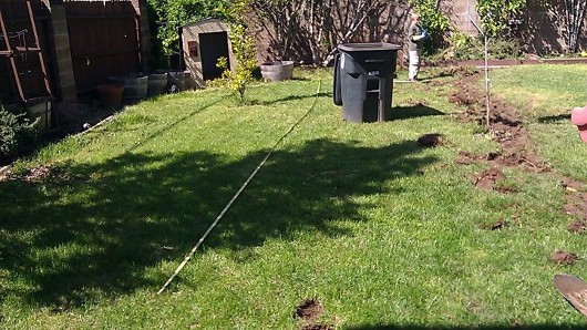 I am removing this portion of rear lawn