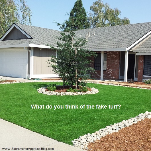 Artificial Grass Both Pet And Friendly